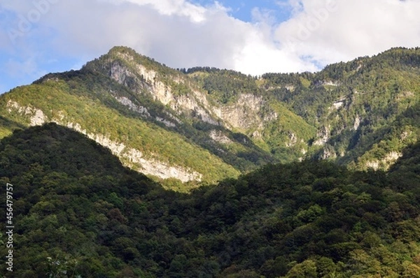 Obraz landscape with mountains
