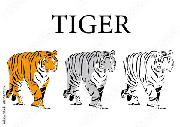 Obraz 虎のイラスト