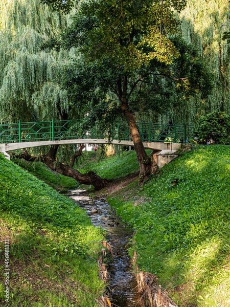 Obraz path in the park