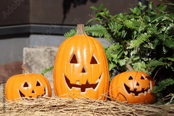 Obraz 縄に飾られたジャックランタンの飾り。