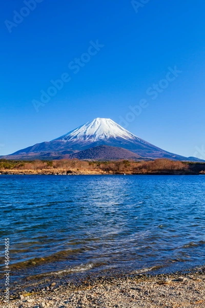 Obraz 冬の富士山　山梨県富士河口湖町の精進湖にて