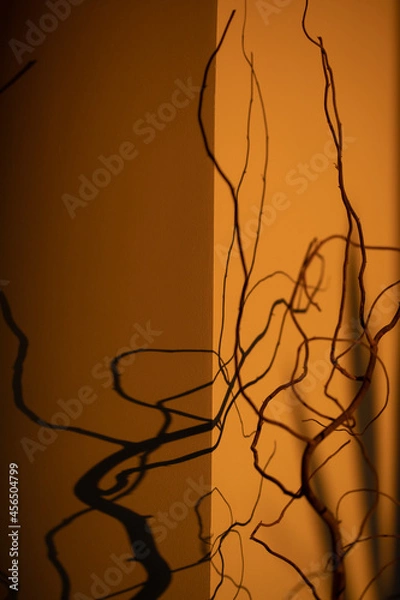 Obraz flexing shadows