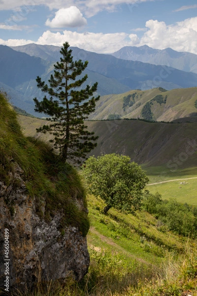 Obraz landscape with trees and clouds