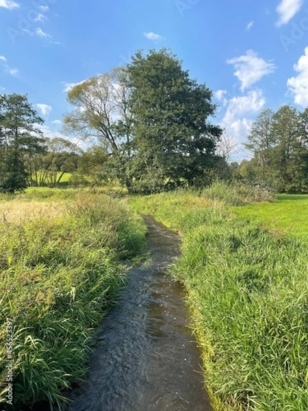 Obraz path in the park