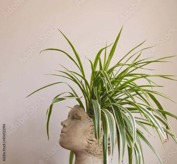 Obraz head shaped plant pot with beautiful green flower on mostlu solid beige background