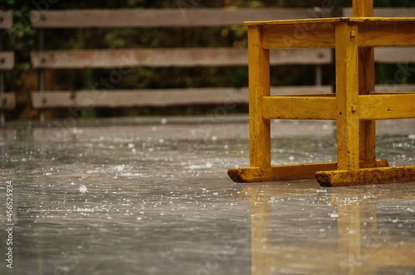 Fototapeta 休みを取って軽井沢へ。あいにくの雨模様ですが湿気の中の自然を歩いて。よかったです。