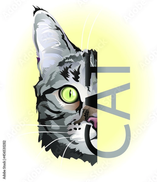 Fototapeta vector realistic drawing of the cat's head