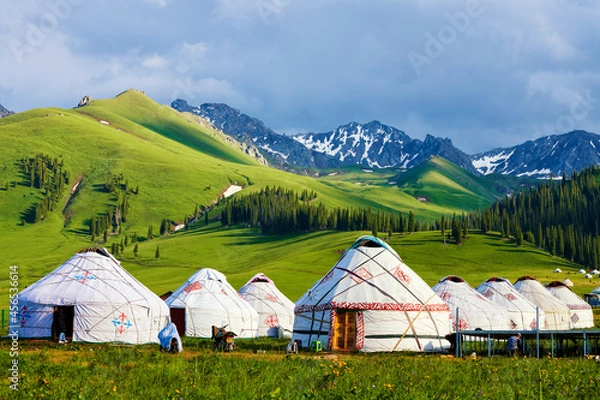 Fototapeta Mongolia yurts in the summer meadows in Nalati scenic spot, Xinjiang Uygur Autonomous Region, China.