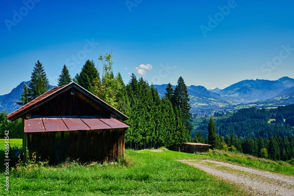 Obraz Alpen Allgäu Wiese Wald 