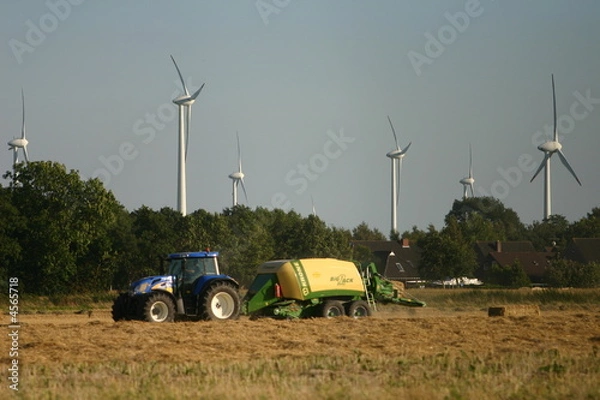 Fototapeta abgemähtes Feld