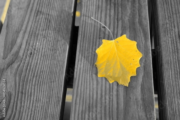 Obraz A yellow leaf on the board.