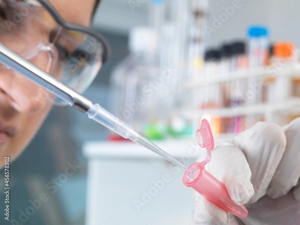 Fototapeta Close up of female scientist pippetting sample into eppendorf tube for analysis in laboratory