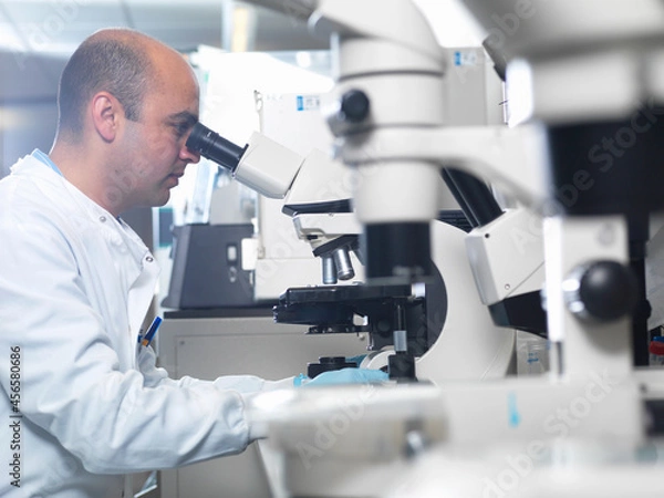 Fototapeta Scientist viewing parasites under light microscope in laboratory, Jenner Institute, Oxford University
