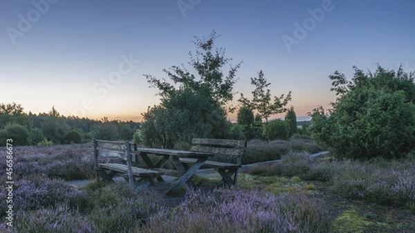Obraz Lüneburger Heide