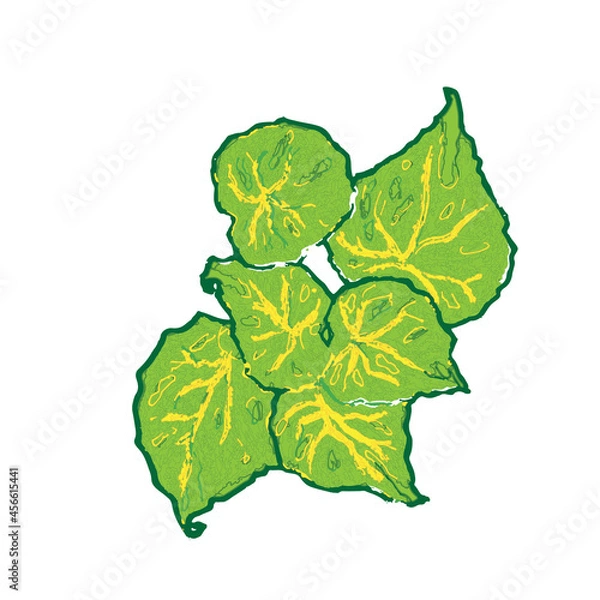 Obraz Begonias Vector Illustration