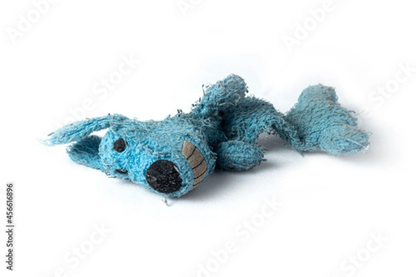 Fototapeta Plush puppy, used and broken dog toy