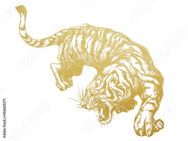 Obraz Asian style line drawing of golden tiger