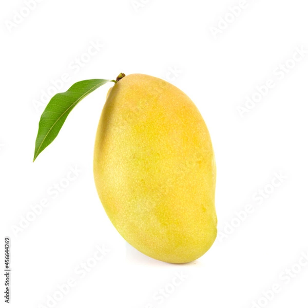 Fototapeta mango fruit isolated on white background
