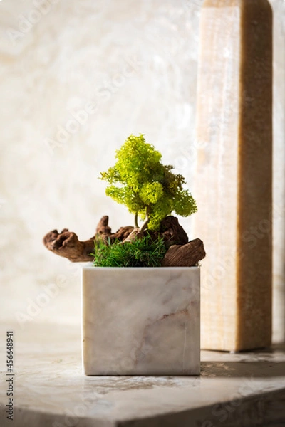 Obraz Miniature tree in marble planter