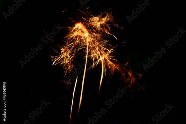 Fototapeta 線香花火