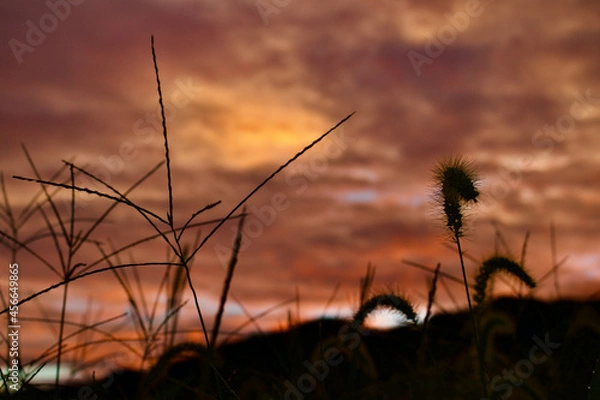 Fototapeta 朝焼け