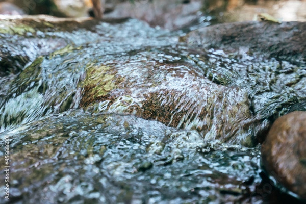 Obraz 森の中を流れるきれいな小川