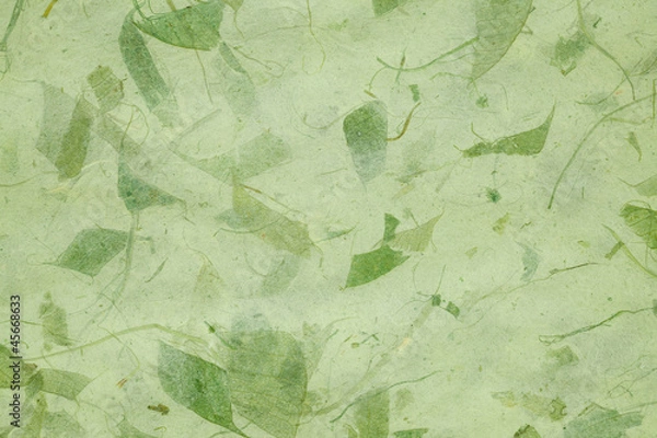 Obraz Dry leaf paper texture