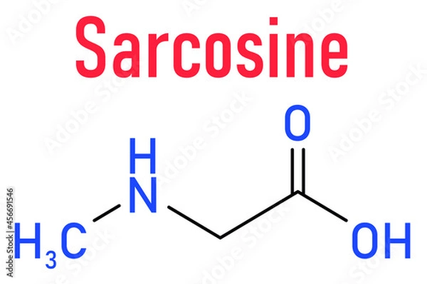 Fototapeta Sarcosine (N-methylglycine) molecule. Skeletal formula.
