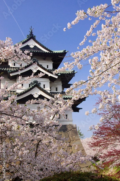 Obraz 弘前城と桜