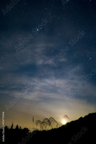 Fototapeta 風に揺れるススキと朧月と星