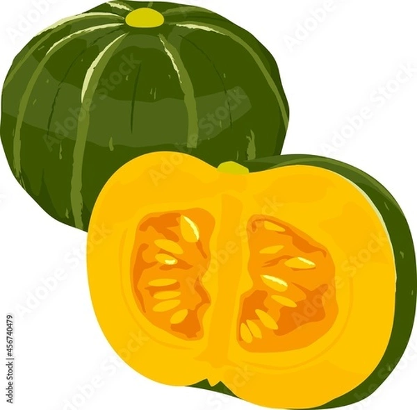 Obraz 新鮮な野菜の手描き風イラスト