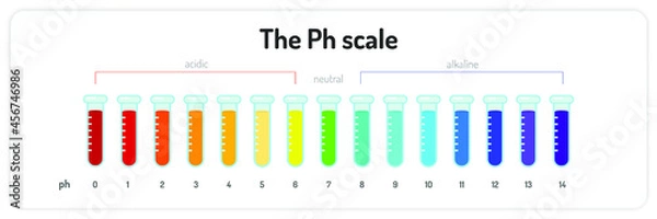 Obraz The Ph scale infographic. Isolated vector illustration on white background. 
