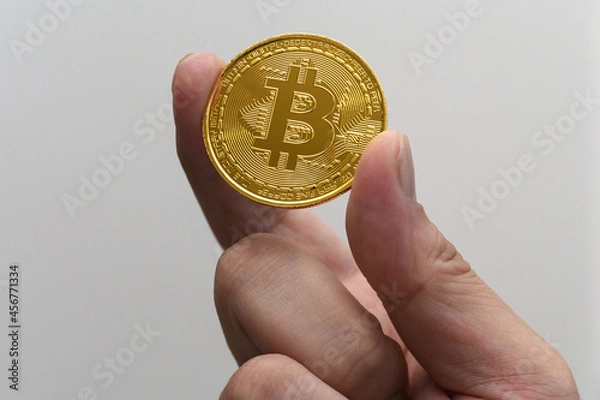 Obraz ビットコインと手