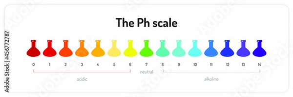 Obraz The ph scale infographic. Isolated vector illustration on white background.