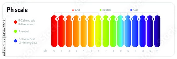 Obraz The ph scale infographic. Isolated vector illustration on white background.