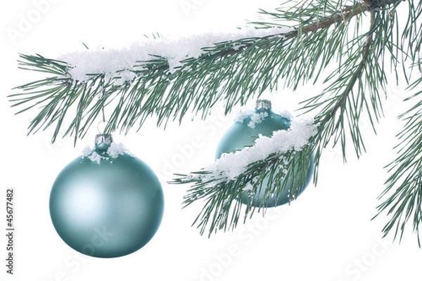 Obraz Christmas decorations on a snowy branch