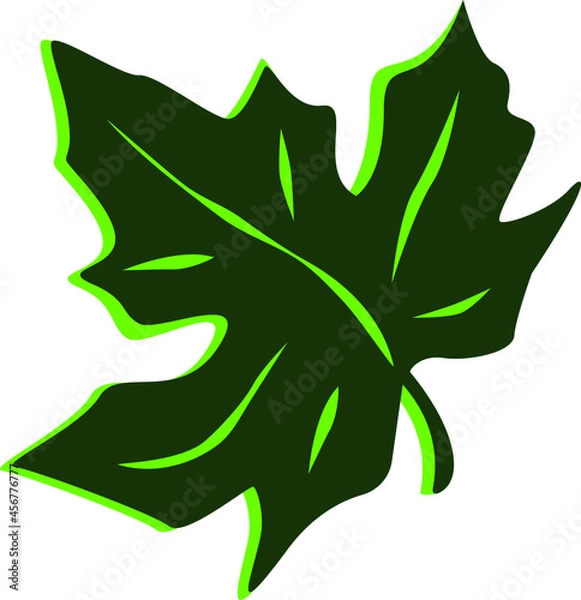 Fototapeta Maple Leaf. vector illustration