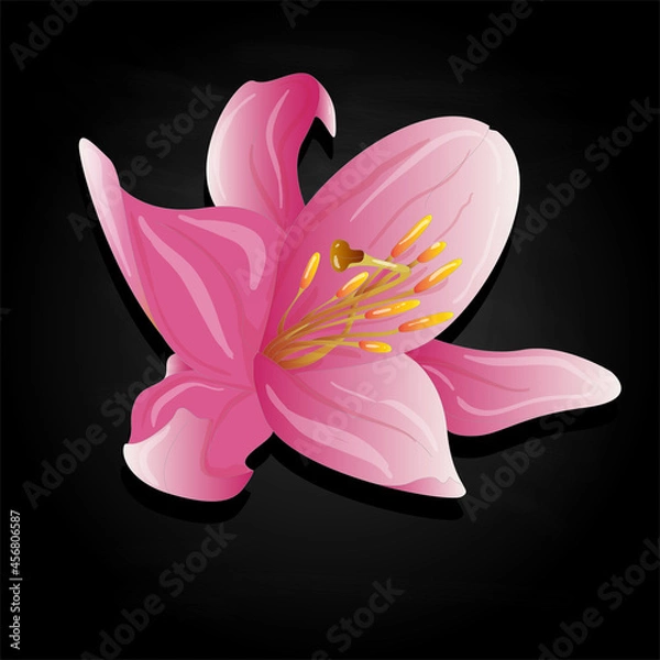 Obraz lilicolorblack07