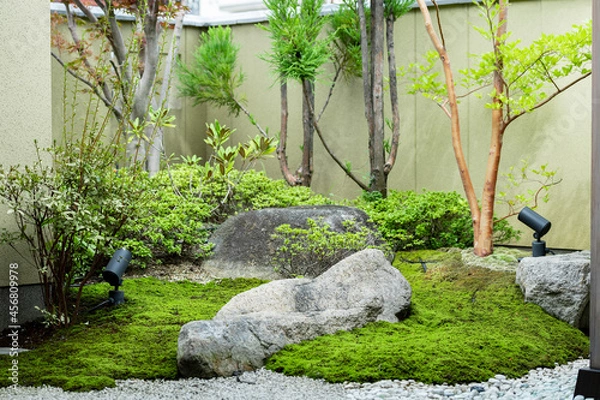 Fototapeta 苔と自然石がある和風の庭