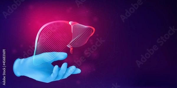 Obraz Human liver 3D silhouette on a doctor's hand in realistic rubber glove. Anatomical medical concept with the wireframe of a human organ on abstract background. Vector illustration in neon lineart style