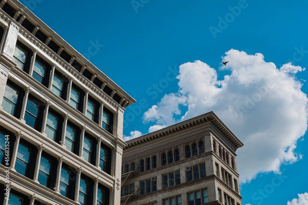 Fototapeta office building