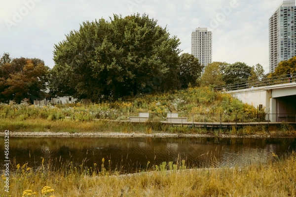 Obraz central park city