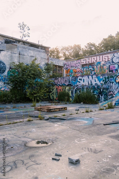 Obraz graffiti on the wall