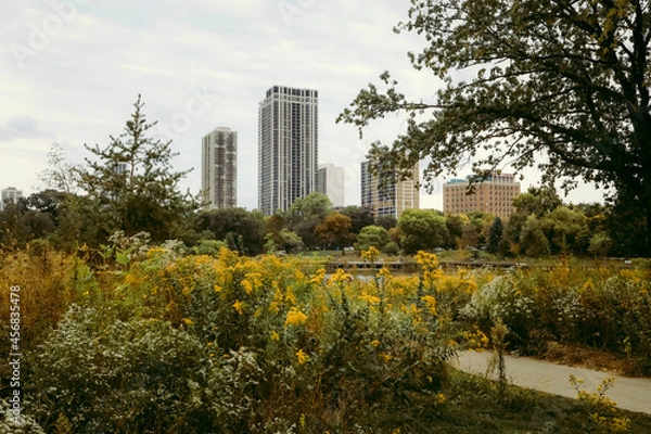 Obraz autumn in the city