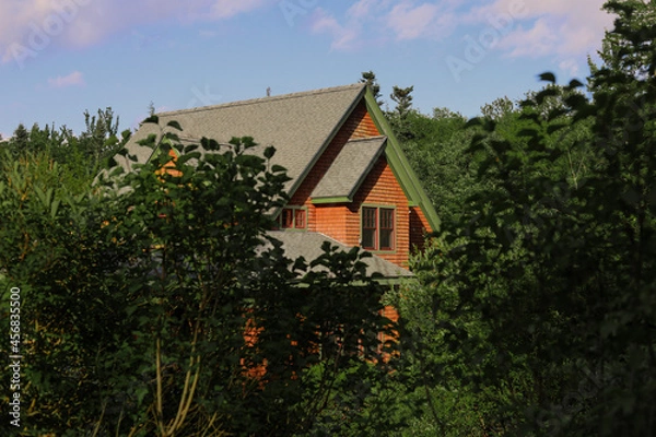 Obraz house in the woods