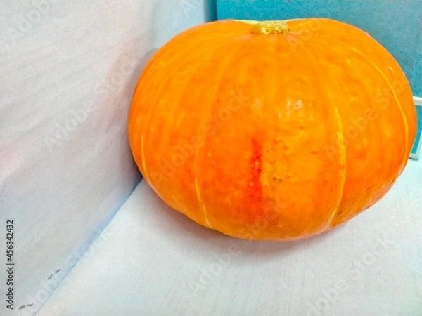 Obraz pumpkin on a wooden table