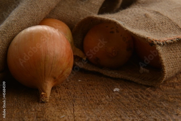 Fototapeta fresh onion