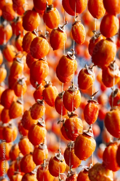 Obraz 吊るし柿　干し柿　秋の風物詩　柿　渋柿　干す　秋