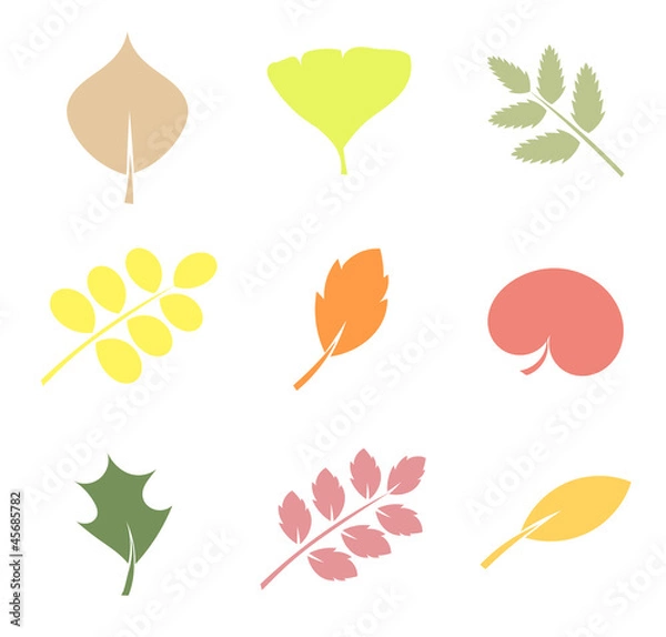 Obraz Leaves illustration