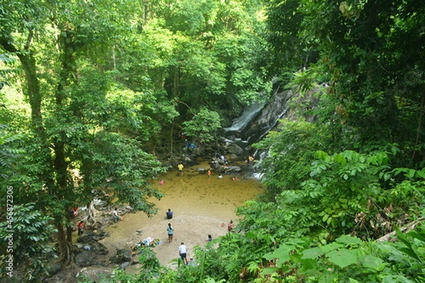 Obraz หุบเขากลางป่าใหญ่